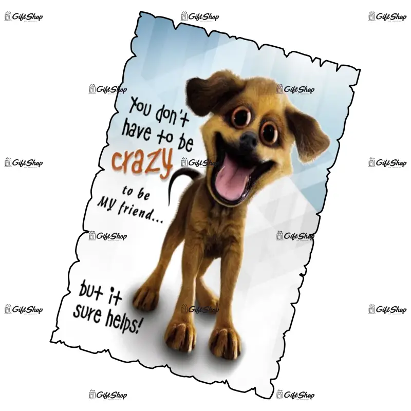 Mgs073-magnet frigider-you don t have to becrazy